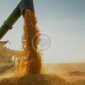 Épandage d’amendements sur parcelles agricoles